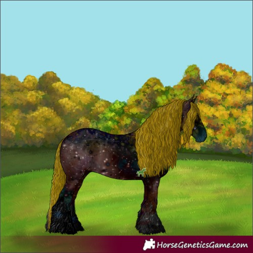 Horse Color:ERROR: UNKNOWN ANOMALY