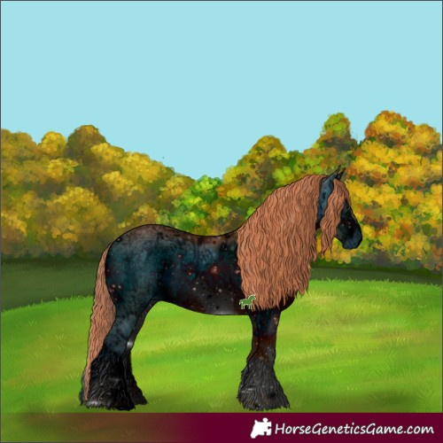 Horse Color:ERROR: UNKNOWN ANOMALY