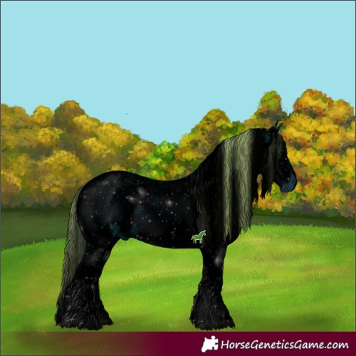 Horse Color:ERROR: UNKNOWN ANOMALY