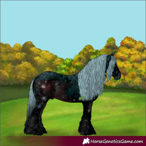Horse Color:ERROR: UNKNOWN ANOMALY