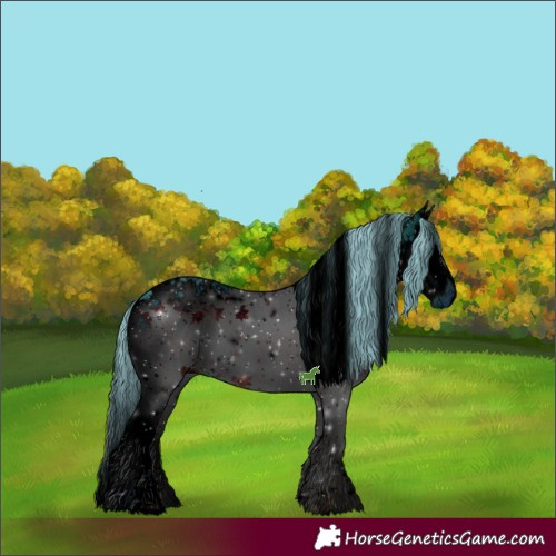 Horse Color:ERROR: UNKNOWN ANOMALY