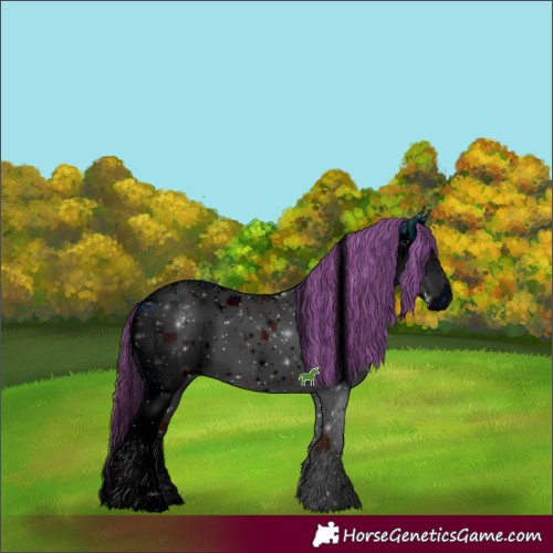 Horse Color:ERROR: UNKNOWN ANOMALY
