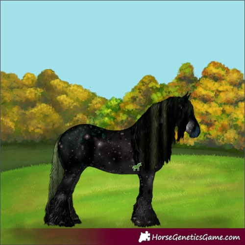 Horse Color:ERROR: UNKNOWN ANOMALY