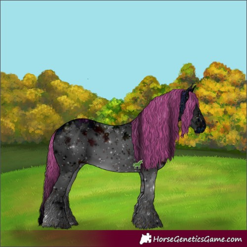 Horse Color:ERROR: UNKNOWN ANOMALY
