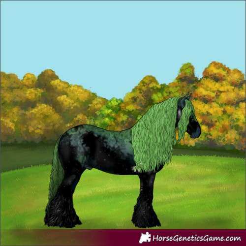 Horse Color:ERROR: UNKNOWN ANOMALY
