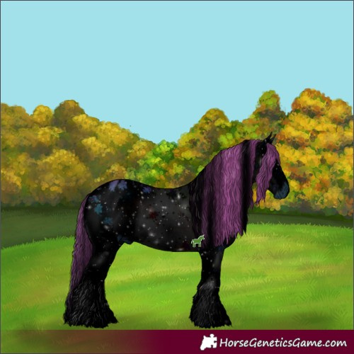 Horse Color:ERROR: UNKNOWN ANOMALY