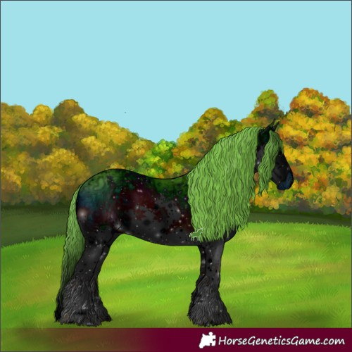 Horse Color:ERROR: UNKNOWN ANOMALY