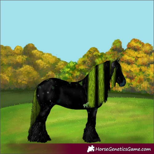Horse Color:ERROR: UNKNOWN ANOMALY