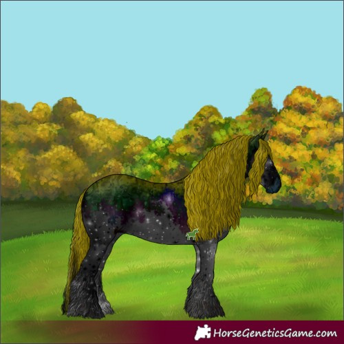 Horse Color:ERROR: UNKNOWN ANOMALY