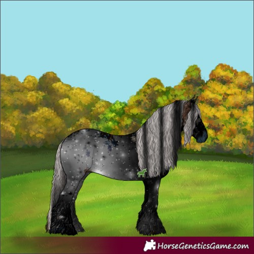 Horse Color:ERROR: UNKNOWN ANOMALY
