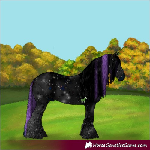 Horse Color:ERROR: UNKNOWN ANOMALY