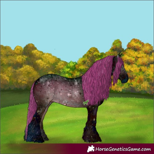Horse Color:ERROR: UNKNOWN ANOMALY