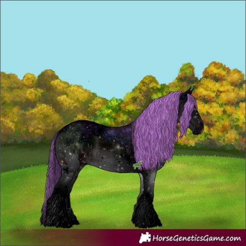 Horse Color:ERROR: UNKNOWN ANOMALY