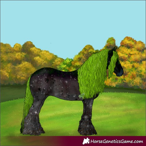 Horse Color:ERROR: UNKNOWN ANOMALY