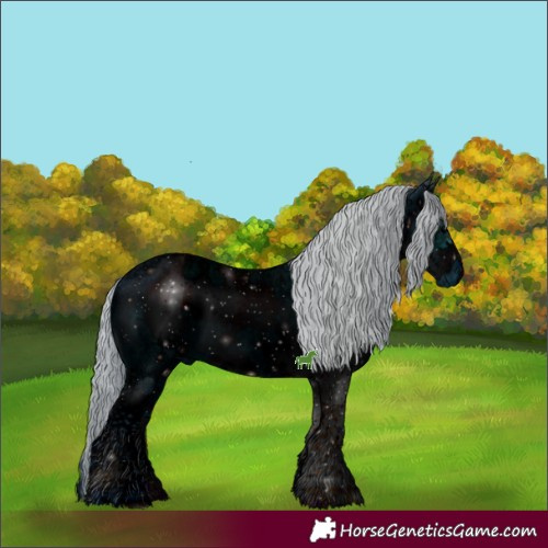 Horse Color:ERROR: UNKNOWN ANOMALY