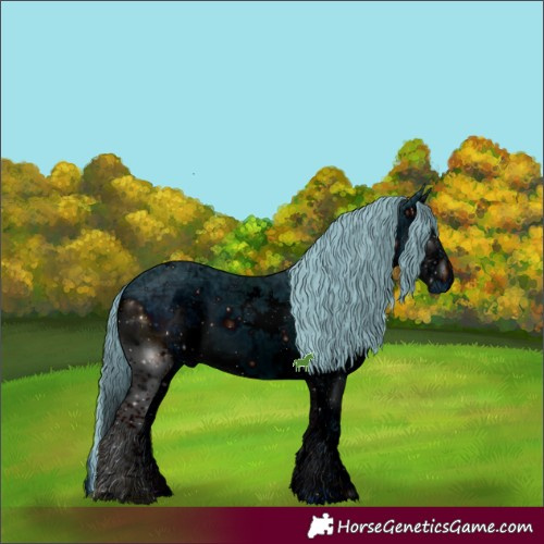 Horse Color:ERROR: UNKNOWN ANOMALY