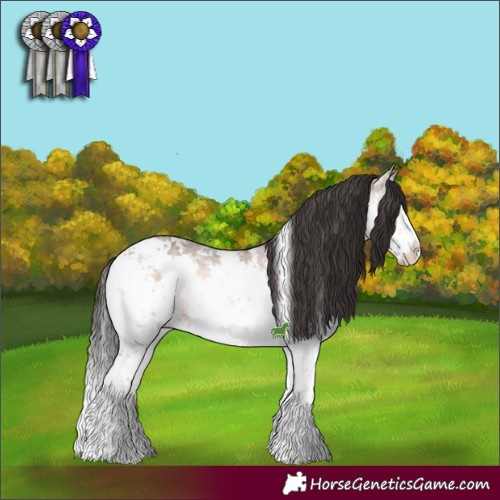 Horse Color:White Spotted Brown Ice Onyx Mushroom Sabino Splash 