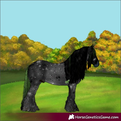 Horse Color:ERROR: UNKNOWN ANOMALY