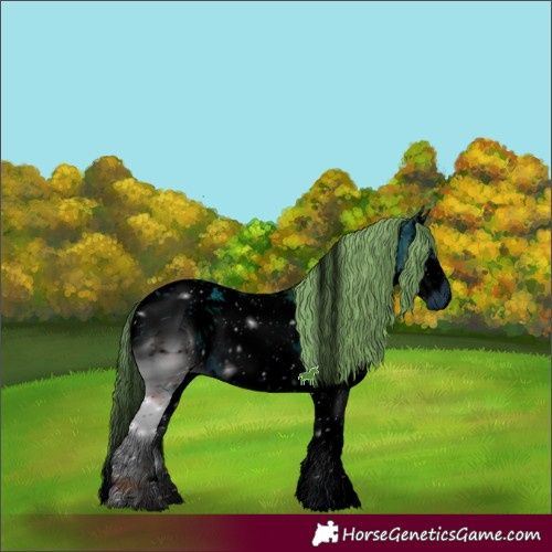 Horse Color:ERROR: UNKNOWN ANOMALY
