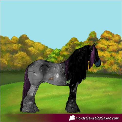 Horse Color:ERROR: UNKNOWN ANOMALY