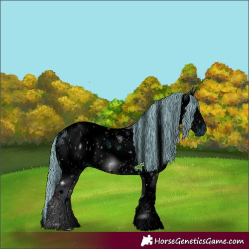 Horse Color:ERROR: UNKNOWN ANOMALY