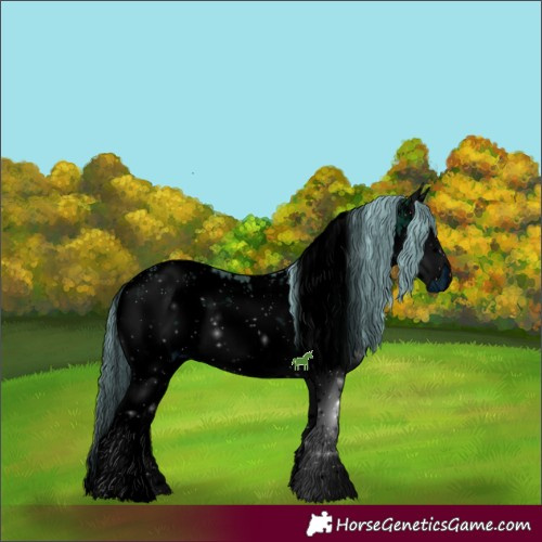 Horse Color:ERROR: UNKNOWN ANOMALY