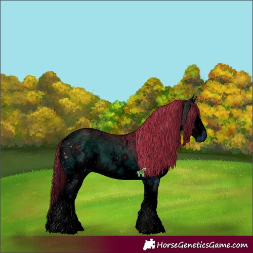 Horse Color:ERROR: UNKNOWN ANOMALY