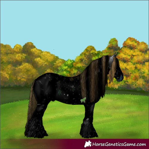 Horse Color:ERROR: UNKNOWN ANOMALY
