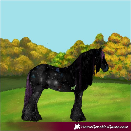 Horse Color:ERROR: UNKNOWN ANOMALY