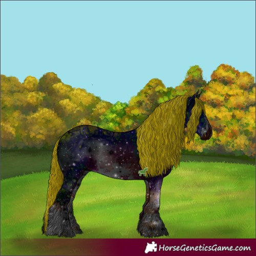 Horse Color:ERROR: UNKNOWN ANOMALY
