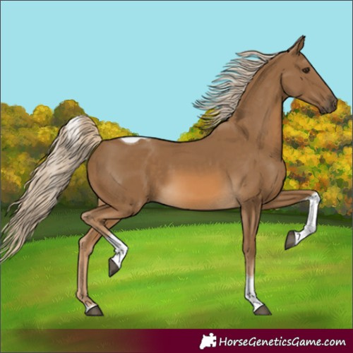 Horse Color:Chocolate Palomino Tobiano 