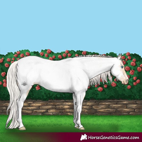 Horse Color:Silver Amber Champagne Pearl Dun Tobiano Appaloosa Rabicano 