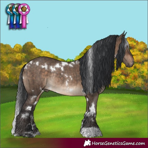 Horse Color:White Spotted Brown Dun Rabicano Brindle 