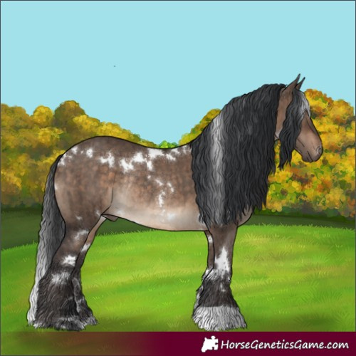 Horse Color:White Spotted Brown Dun Rabicano Brindle 