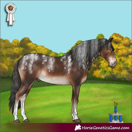 Horse Color:Powder White Liver Chestnut 