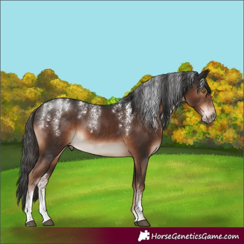 Horse Color:Powder White Liver Chestnut 