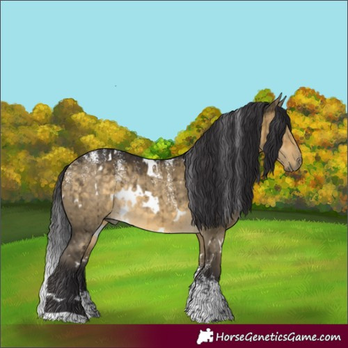 Horse Color:Powder White White Spotted Buckskin Dun Rabicano Brindle 