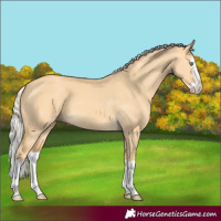 Horse Color:Silver Amber Cream Champagne Dun Splash 