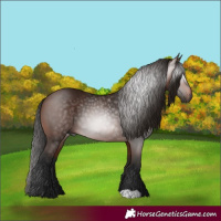 Horse Color:Gray Bay
