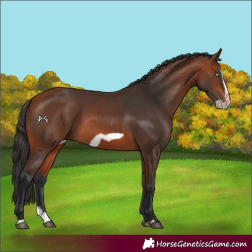 Horse Color:Unknown 