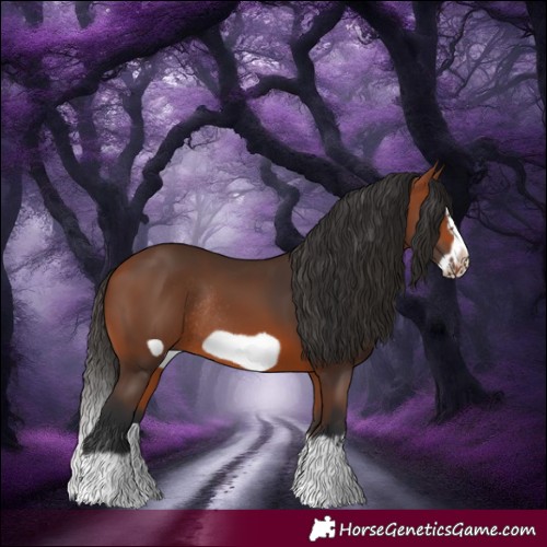 Horse Color:Bay Splash Frame Rabicano