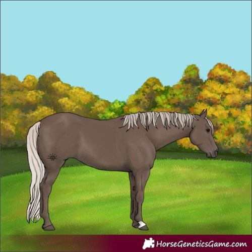 Horse Color:Silver Black 