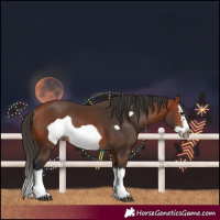 Horse Color:Bay Splash Frame Rabicano 