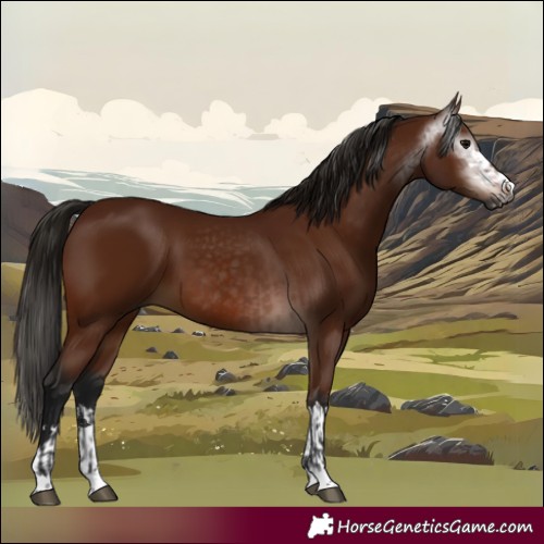 Horse Color:Gray Bay  and Gray Bay 