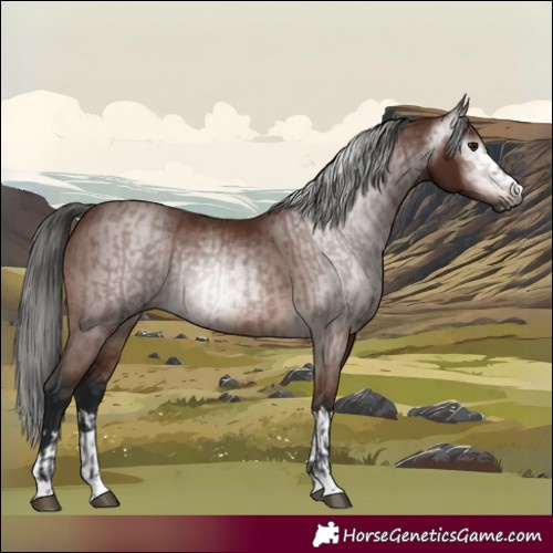 Horse Color:Gray Bay and Gray Bay