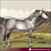 Horse Color:Gray Bay  and Gray Bay 