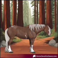 Horse Color:Silver Black Tobiano  and Silver Black 