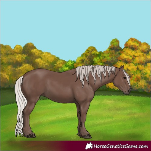 Horse Color:Silver Black 
