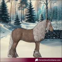 Horse Color:Silver Black Tobiano and Silver Black