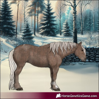 Horse Color:Silver Black Tobiano  and Silver Black 